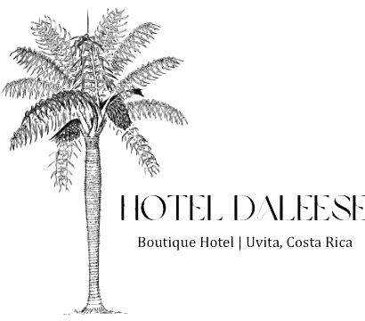 Hotel Daleese Logo