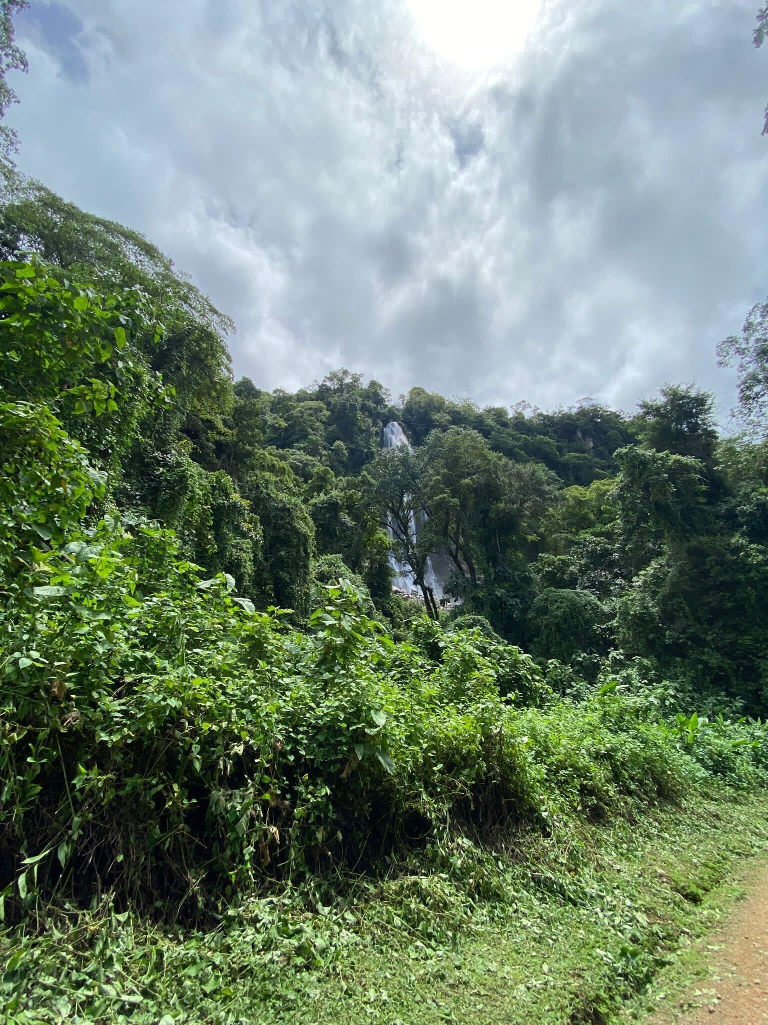 Lush green forest with waterfall in Uvita, Costa Rica