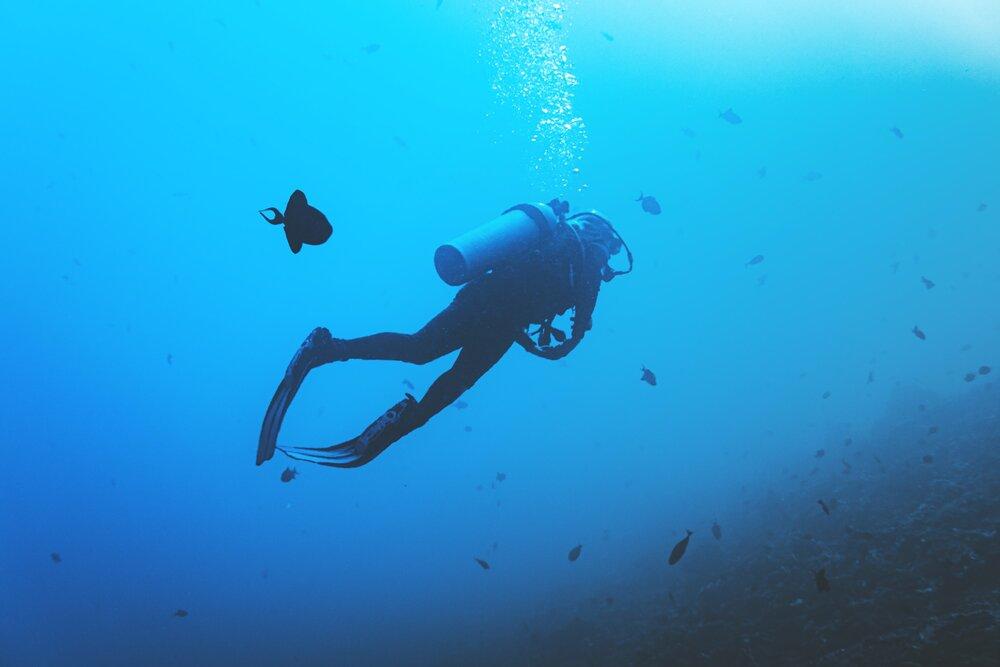Scuba Diving