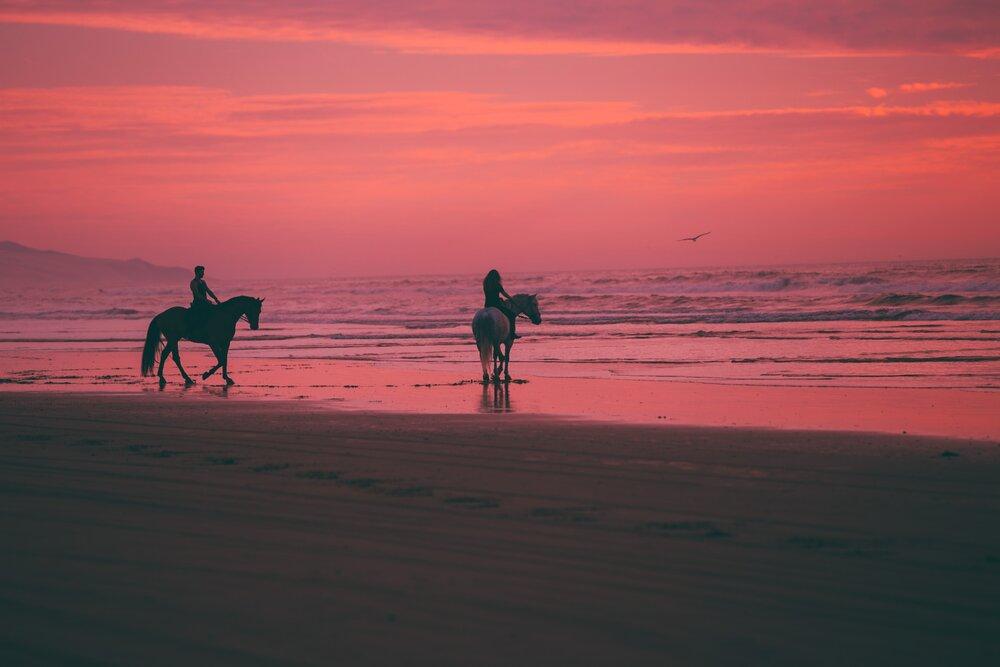 Horseback Riding